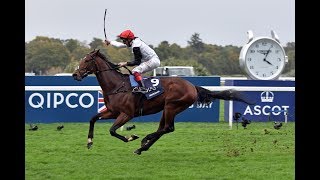 Cracksman  Co3rd Highest Rated Racehorse in the World for 2017 [upl. by Down]