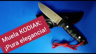 CUCHILLO MUELA KODIAK revisión 2021 ¡Un cuchillo muy elegante [upl. by Arej]