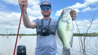 Crappie Magnet Eye Hole Jigs and Standing Timber [upl. by Gaby347]