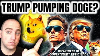 Dogecoin News Today Elon Musk and Now Trump [upl. by Hctud622]