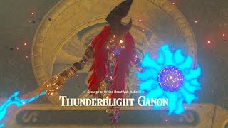 Zelda Breath of the Wild Vs Thunderblight Ganon  Cutscenes [upl. by Sonnie]