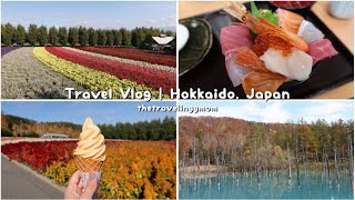 VLOG Hokkaido Series Part V  Autumn 2022  Furano  Sapporo  Sight seeing Omakase Royce Choc [upl. by Akerdna]