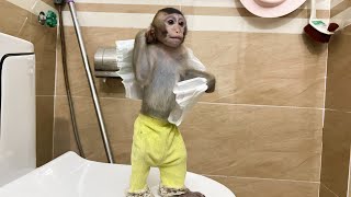 Monkey Annie was afraid of diaper rash so she ran to the bathroom to change herself [upl. by Macmullin]