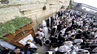 Hoshana Rabbah at the Kotel  Sukkos 2014 HD 5774 הושענא רבה בכותל  סוכות [upl. by Peadar]