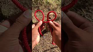 Intelligent Hitch Knot knottying knot camping rope survivalknots survivalskills [upl. by Lowery903]