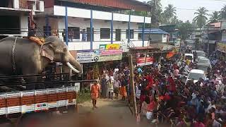 Thechikottukavu ramachandran mass entry at parkadi pooram [upl. by Lehman]