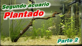 Segundo acuario plantado Parte 2 [upl. by Charteris]