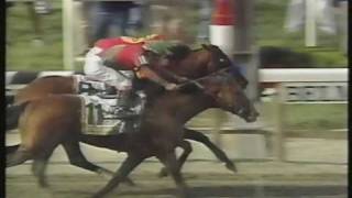 Victory Gallop Belmont Stakes 1998  Thrilling finish  Triple Crown lost by a nose [upl. by Nahsaj]