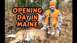 Calling in Opening Day Bucks  BUCK DOWN  Maine 2024 [upl. by Weide]