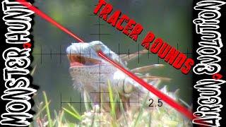 EPIC Slow Motion TRACER ROUNDS  Iguana Dinosaur Hunting  Airgun Evolution [upl. by Naj]