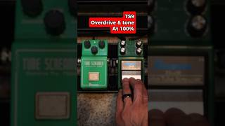 Tube screamer TS808 vs TS9 What’s your favorite ibanez guitarists guitarpedals distortion [upl. by Xilef]