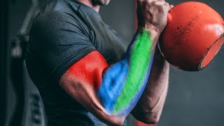 Arm Growth Plateau KETTLEBELL HAMMER CURLS for BIGGER BICEPS amp FOREARMS [upl. by Lenoyl]