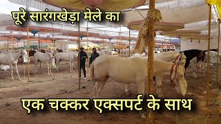 सारंगखेड़ा मेला के हाल एक ही वीडियो में एक्सपर्ट के साथ pt2  sarangkheda horse market in one video [upl. by Etnaled]