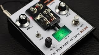 Rainger FX Dr Freakenstein Bass DrFB  BASS Demo [upl. by Ecinhoj]