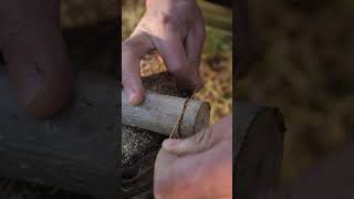 bushcraft Trap bushcraft survival diy trap [upl. by Maffei395]