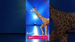 rap magic hiphop shorts human 🚶‍♀️transform into Giraffe🦒 Americas got talent giraffe 🦒🦒🦒 [upl. by Erlandson]