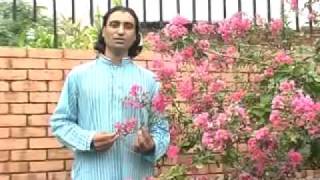 Mahiye by Attock folk singer NASIM SIDDIQUI [upl. by Moreville919]