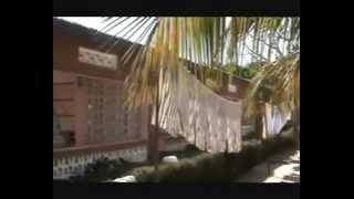 Holiday Apartments in Kololi The Gambia West Africa [upl. by Nylehtak]