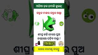 ସବୁଜ ମାଛର ସବୁଜ ଅଣ୍ଡା  Odia Intelligent Question  Odia dhaga damali  Odia gk odiaintrestinggk [upl. by Osbert]