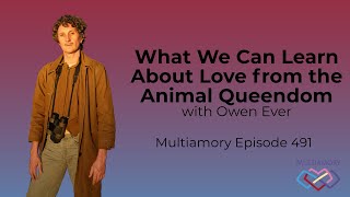 491  What We Can Learn About Love from the Animal Queendom with Owen Ever [upl. by Nonahs589]