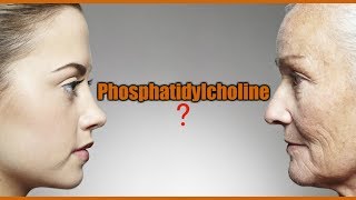 Phosphatidylcholine Lecithin Lesser Known AntiAging and Memory Supplements [upl. by Clemmie651]