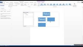 organogram maken met word [upl. by Eurydice730]