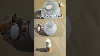 AntiDiarrhoeal for Poultry Birds  How to Treat Diarrhea in Chickens  Dr ARSHAD [upl. by Osy666]