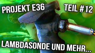 Projekt E36 Teil 12  Lambdasonde und mehr GermanDeutsch [upl. by Denver]