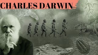 Charles Darwin Si Maimutele [upl. by Acissj]