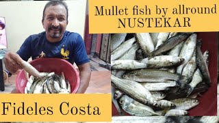 Mullets catch of the day by allround NUSTEKAR FIDELES COSTA [upl. by Randell]