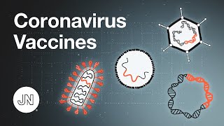 Coronavirus Vaccines  An Introduction [upl. by Sisenej350]