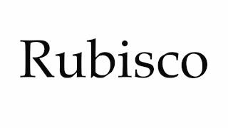 How to Pronounce Rubisco [upl. by Ralli695]