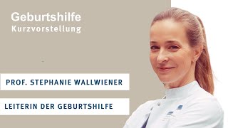 Geburtshilfe UKHD  Kurzvorstellung Prof Dr Stephanie Wallwiener [upl. by Nirred]