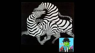 Victor Vasarely and Op Art [upl. by Chemesh]