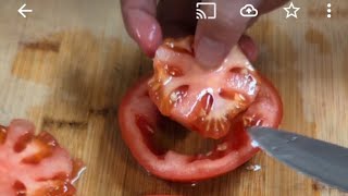 LS 240 Nov 082024 quotASMR Slicing Tomato 🍅 squot [upl. by Neidhardt207]