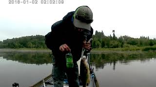 How to save a bleeding bass using Mountain Dew [upl. by Kippar]