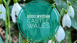 Bodelwyddan Warner Leisure Hotels Garden Suite Lodge Room Tour and needed Mental Health Break [upl. by Lauren293]