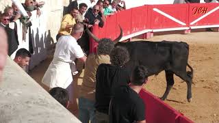 Finale des AS Nimes avec Montego manade Lautier [upl. by Lavinia]