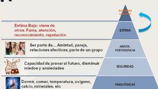 Satisfacción laboral y motivación [upl. by Aiotal133]