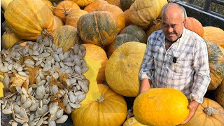 Dnevno izvadim 20 kilograma sjemenki a godišnje prodam preko 300 kg to mi je penzija i moj biznis [upl. by Ykcor]