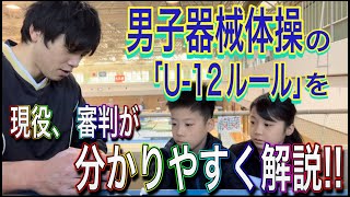 器械体操1種公認審判の方に男子体操のジュニアルール教えてもらった！（U12ルール） [upl. by Tattan319]