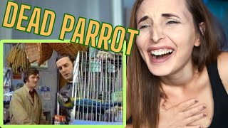 REACTING TO MONTY PYTHON  Dead Parrot Sketch [upl. by Claudian]