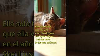 Year of the Cat Al Stewart Lyrics español [upl. by Zita566]