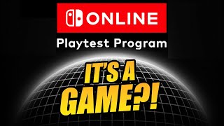 ITS A GAME Nintendos Mysterious Playtest Details Revealed [upl. by Thatcher]