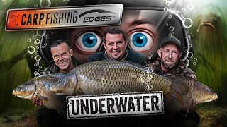 🎣 🤿 4 hours of mind blowing UNDERWATER action 🤯  Fox Carp Fishing Edges Underwater FULL FILM [upl. by Nappy831]