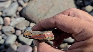 Rockhounding Bay of Fundy  Pt2 [upl. by Yak]