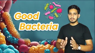 Not All Bacteria Are the Enemy Transform Your Health with Their Help [upl. by Josy]