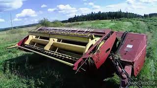 cutting hay with the case farmall 75a [upl. by Ramos823]