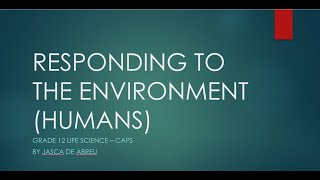 Grade 12 Life Science Responding to the Environment in humans Part 1 [upl. by Iznik]