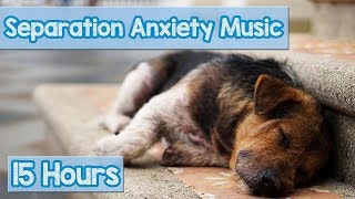 15 HOURS of Deep Separation Anxiety Music for Dog Relaxation Helped 4 Million Dogs Worldwide NEW [upl. by Baler]